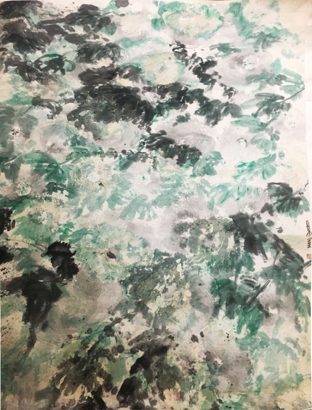 夏雨墨簡歷